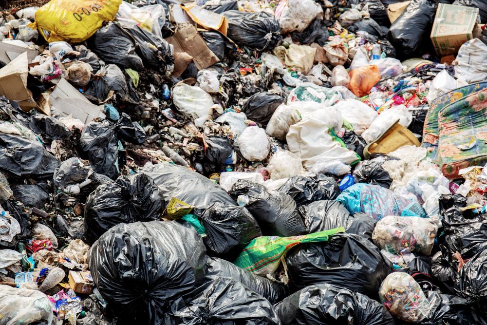 Несанкционированная свалка. Что делать и куда обращаться?