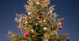 За незаконную вырубку новогодней ёлки грозит серьёзный штраф — вплоть до 500 тыс. рублей