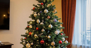 Январские праздники 2026 года. Сколько выходных ждет россиян