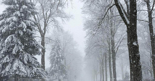 Зимние сюрпризы. Синоптики предсказывают аномалию в январе и феврале